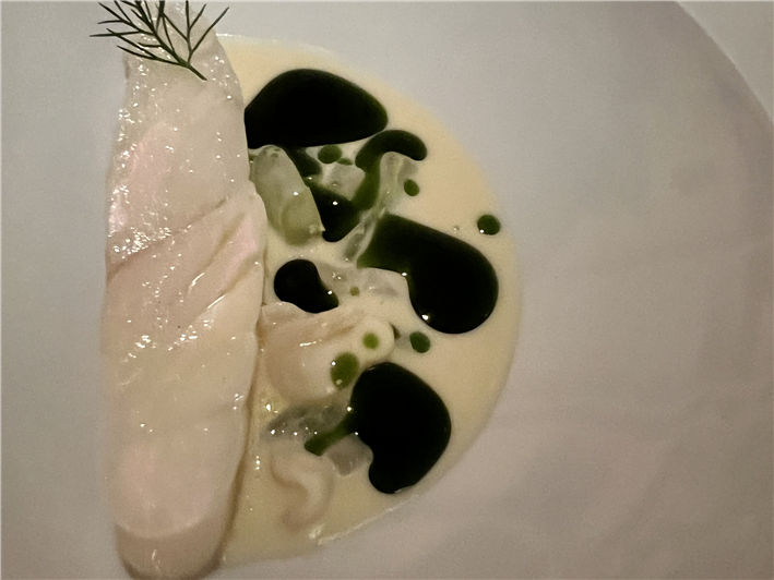 turbot